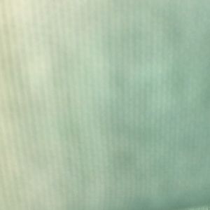 Meet your Posher, Layla